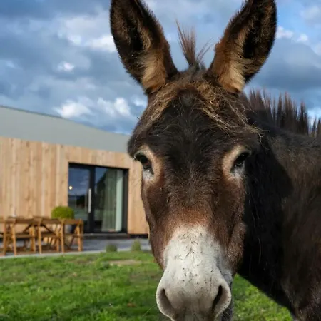 Le Marzelheide 1 Holiday home *