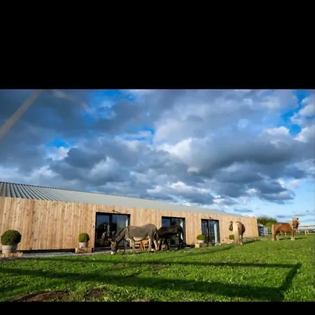 Le Marzelheide 1 Holiday home