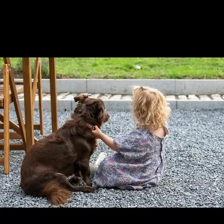 Le Marzelheide 1 Holiday home Lontzen