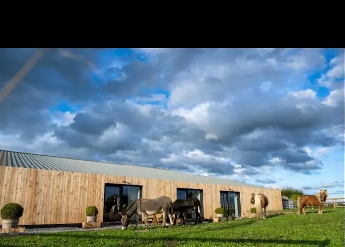 Le Marzelheide 1 Holiday home