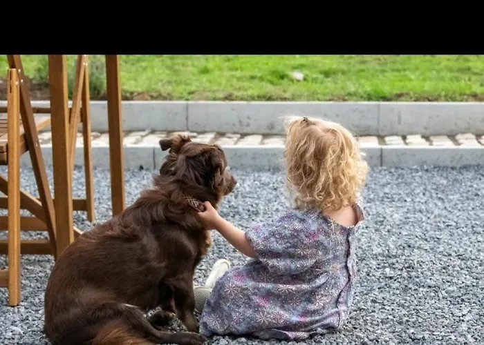 Le Marzelheide 1 Holiday home Lontzen